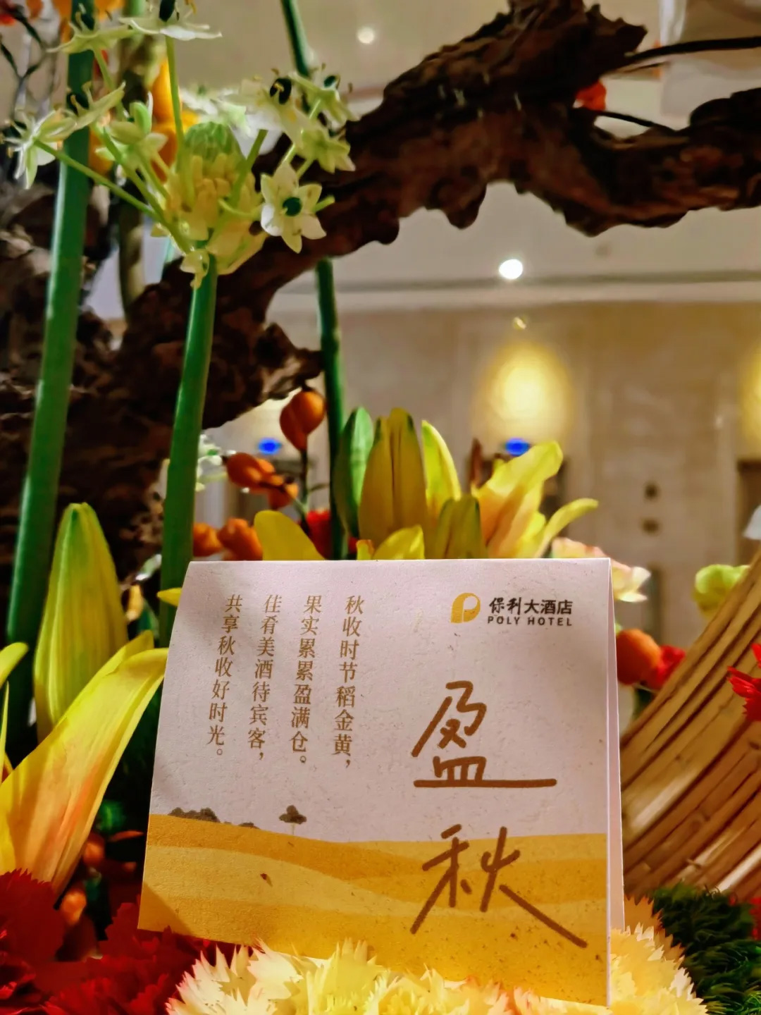 未标题-10.jpg